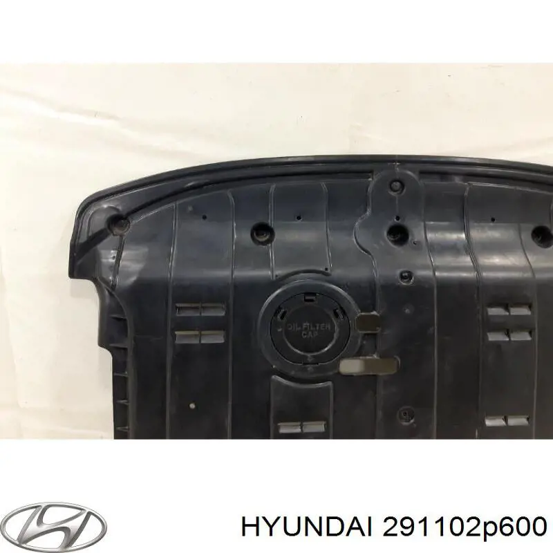 291102P600 Hyundai/Kia Защита картера двигателя