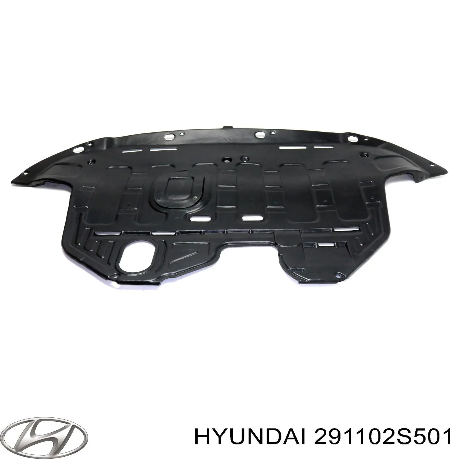 291102S501 Hyundai/Kia 