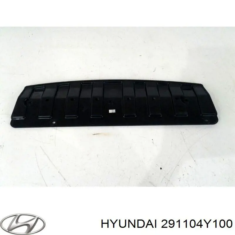 291104y100 Hyundai/Kia proteção de motor dianteira