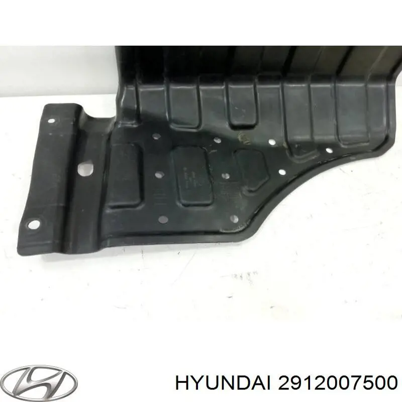 2912007500 Hyundai/Kia защита двигателя правая