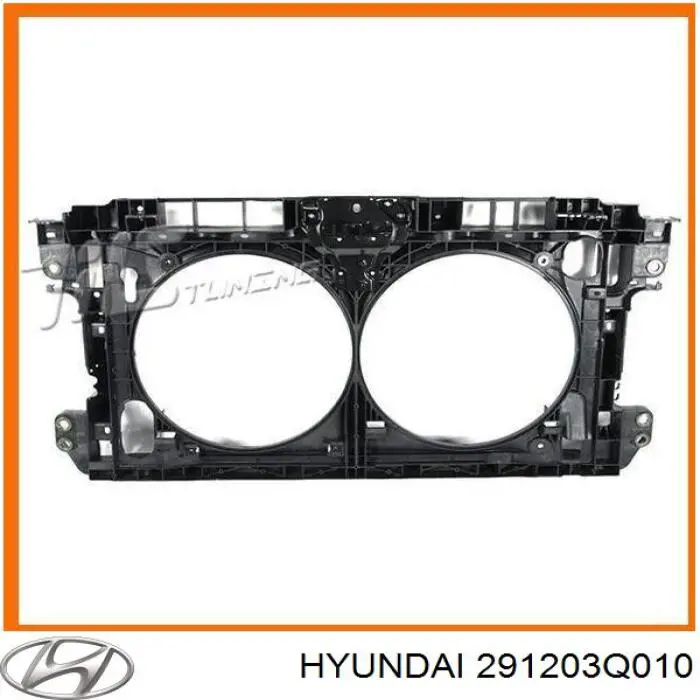  291203Q010 Hyundai/Kia