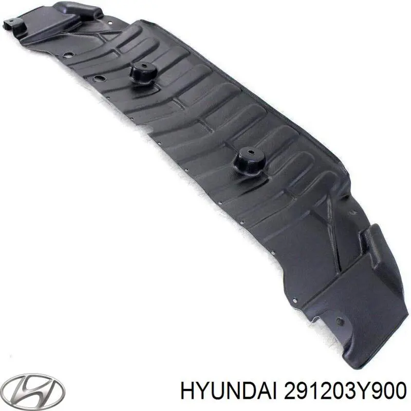 291203Y900 Hyundai/Kia Защита двигателя правая
