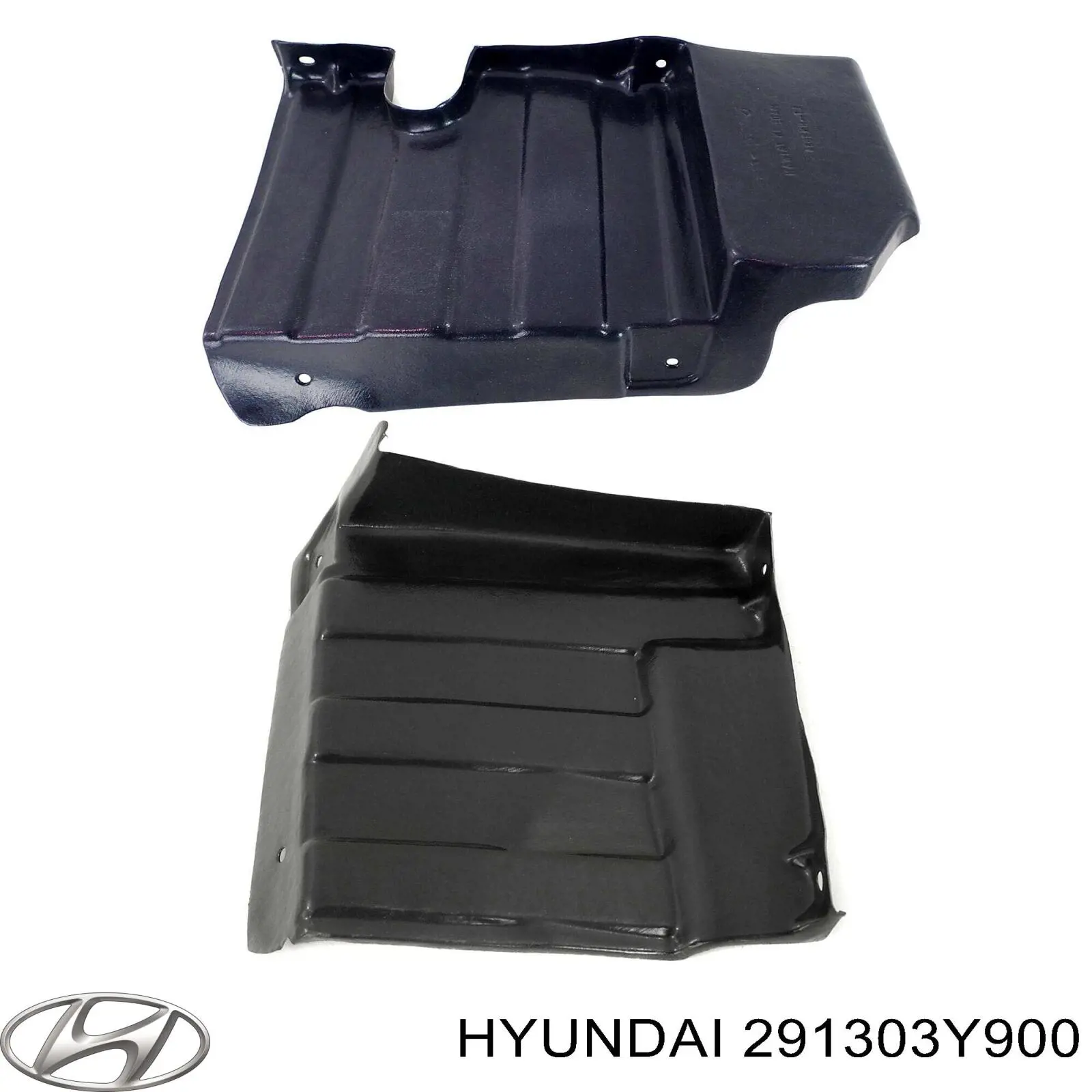291303Y900 Hyundai/Kia Защита картера двигателя