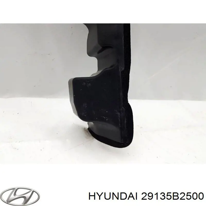  29135B2500 Hyundai/Kia