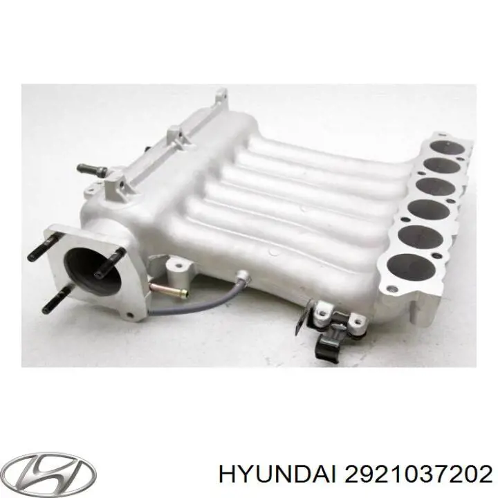 Коллектор впускной Hyundai/Kia 2921037202 цена, от 35.27 USD