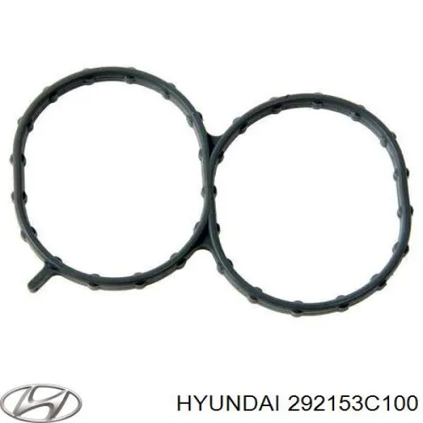 292153C100 Hyundai/Kia прокладка впускного коллектора