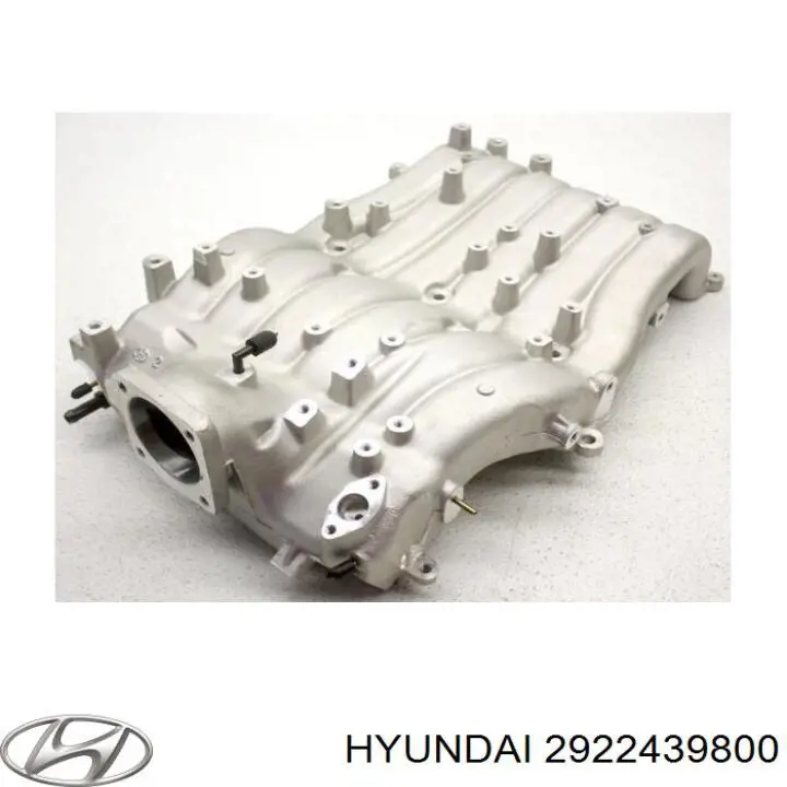 Впускной коллектор 2922439800 Hyundai/Kia