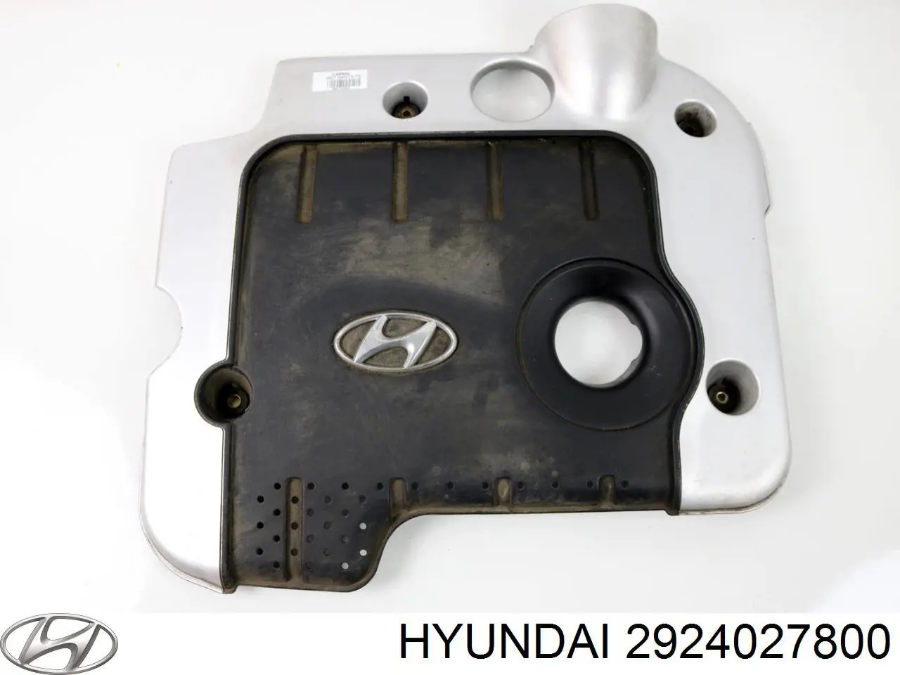2924027800 Hyundai/Kia tampa de motor decorativa