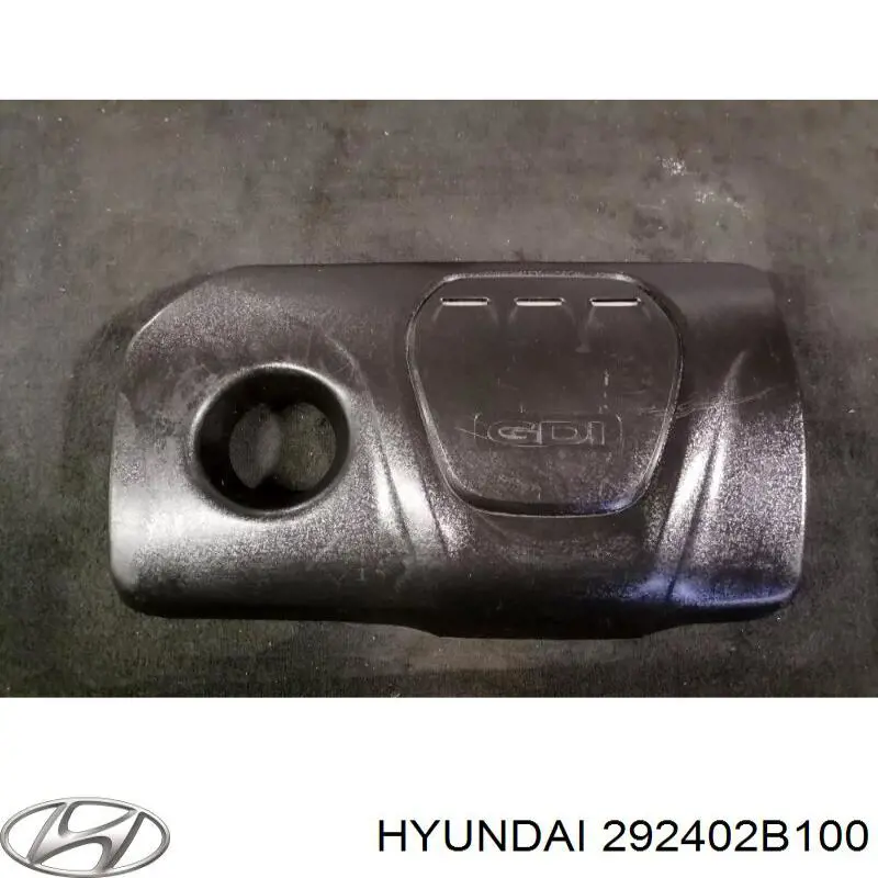 292402B100 Hyundai/Kia tampa de motor decorativa