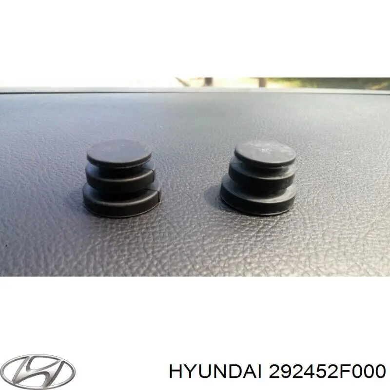 292452F000 Hyundai/Kia 