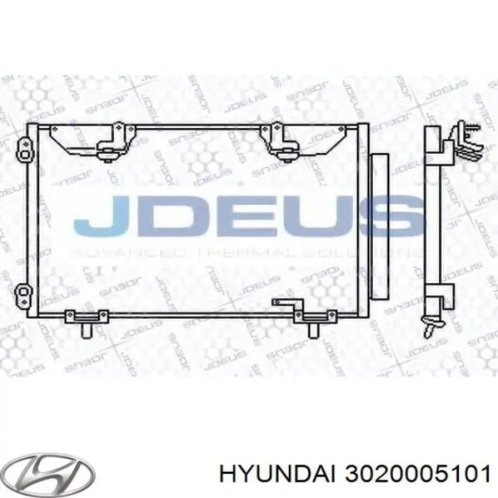 Корзина сцепления 3020005101 Hyundai/Kia