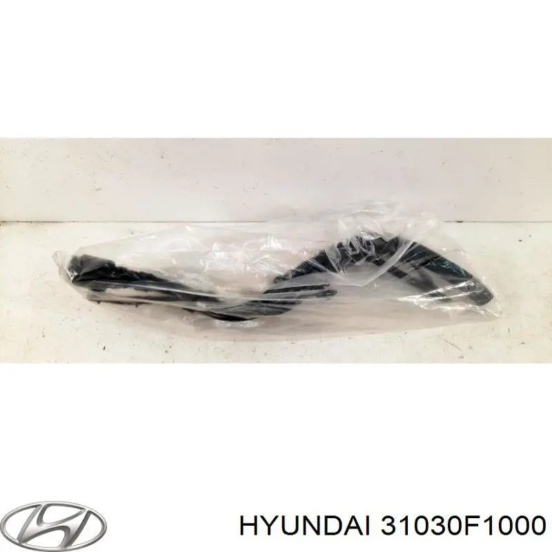 Заливная горловина топливного бака Hyundai/Kia 31030F1000 цена, от 100.56 USD