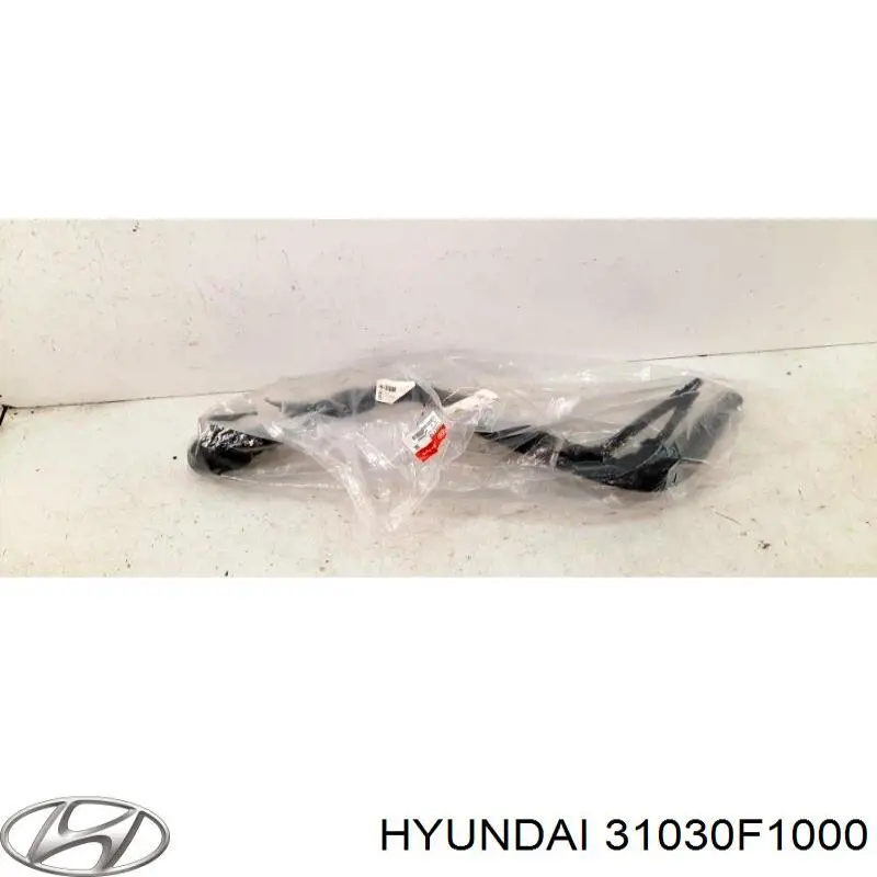 31030F1000 Hyundai/Kia Заливная горловина топливного бака