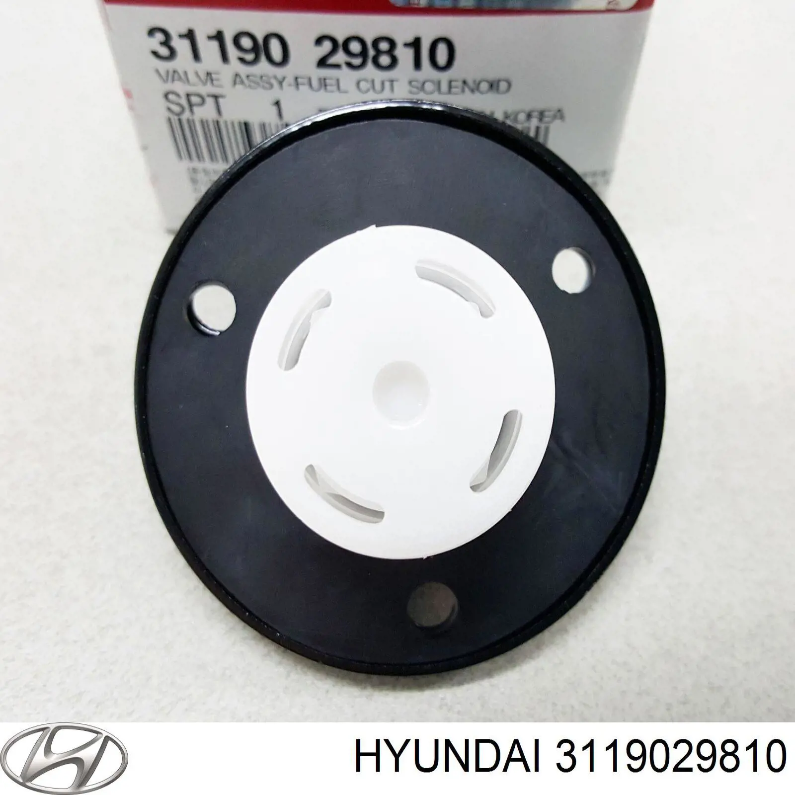  3119029810 Hyundai/Kia