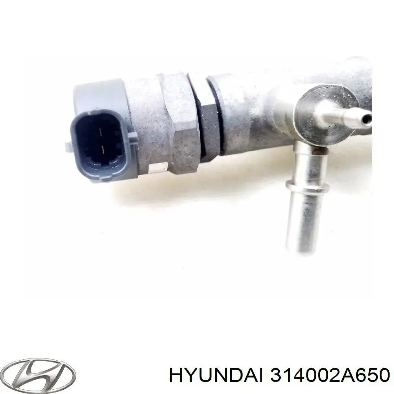 Купить 314002A650 Hyundai/Kia Распределитель топлива (рампа)
