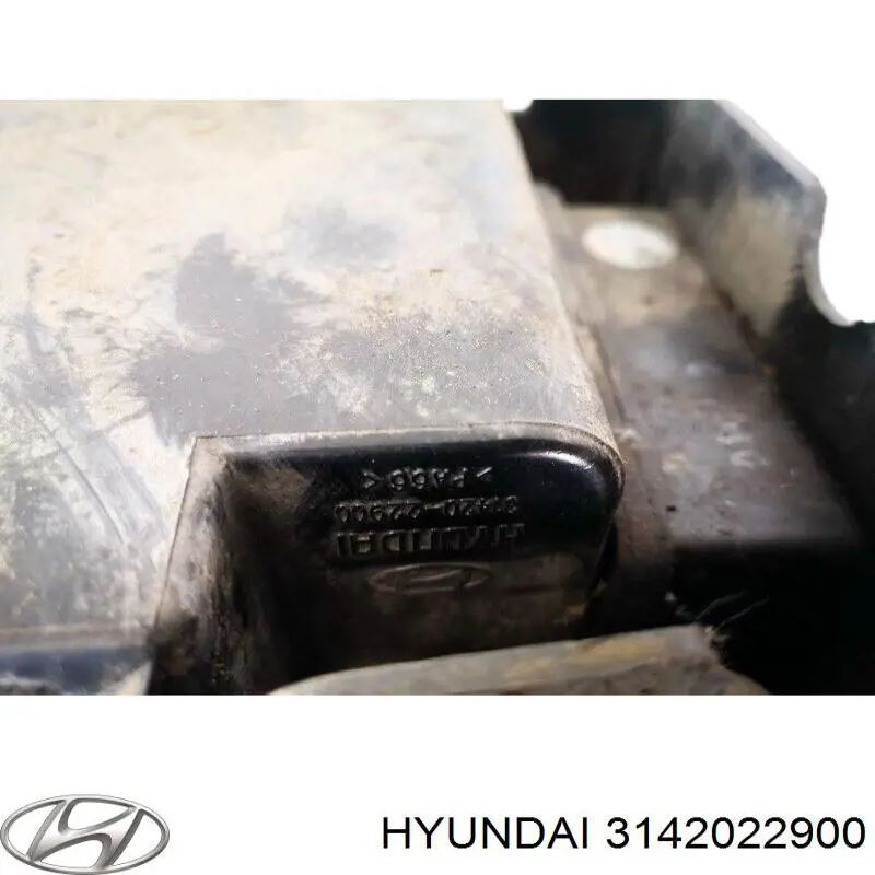 3142022900 Hyundai/Kia 