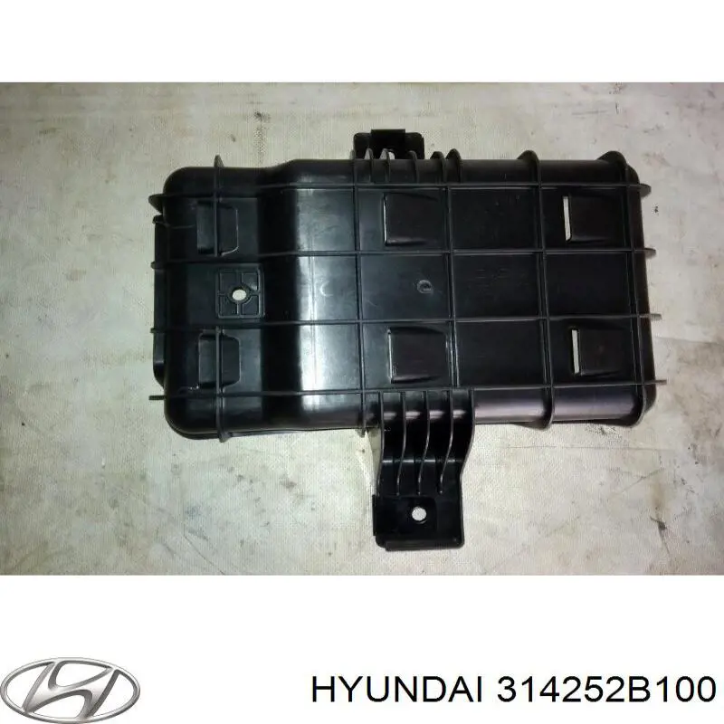 314252B100 Hyundai/Kia 