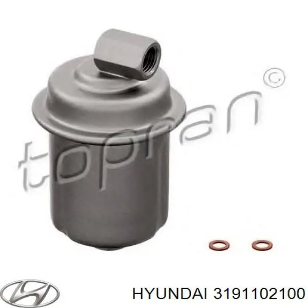 Фильтр топливный Hyundai/Kia 3191102100