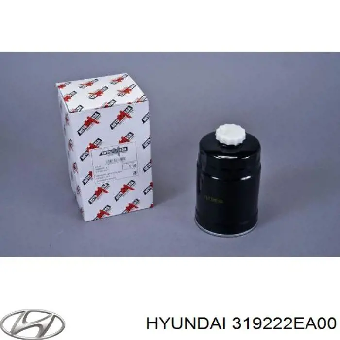 Filtro de combustível 319222EA00 Hyundai/Kia