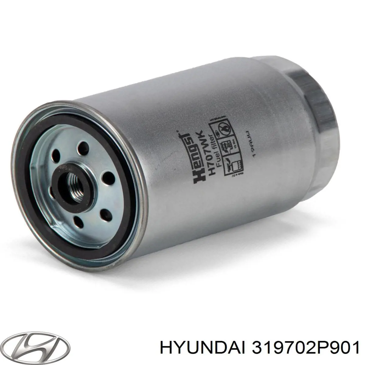 319702P901 Hyundai/Kia filtro de combustível