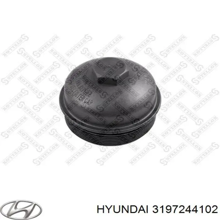 3197244102 Hyundai/Kia крышка корпуса топливного фильтра