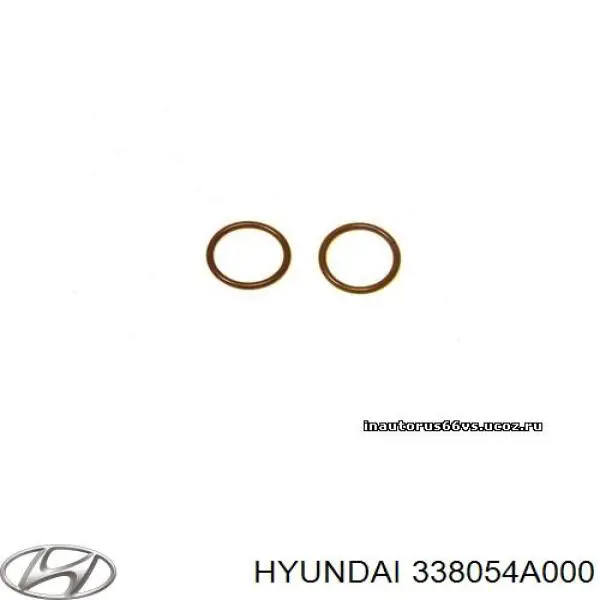 Cuerpo intermedio Inyector superior 338054A000 Hyundai/Kia