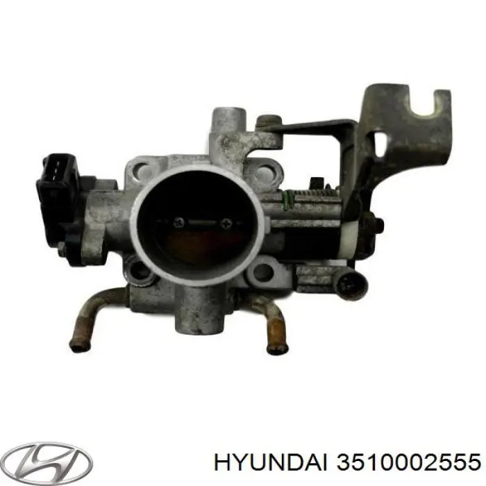 Дроссельная заслонка 3510002555 Hyundai/Kia