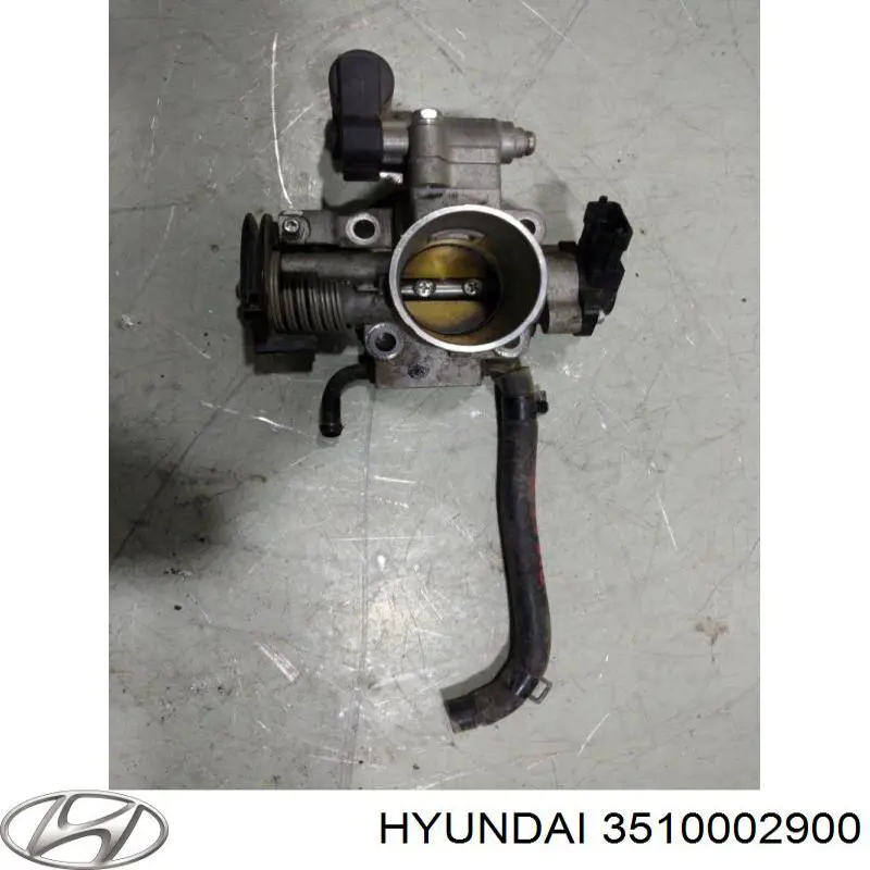 3510002900 Hyundai/Kia Дроссельная заслонка