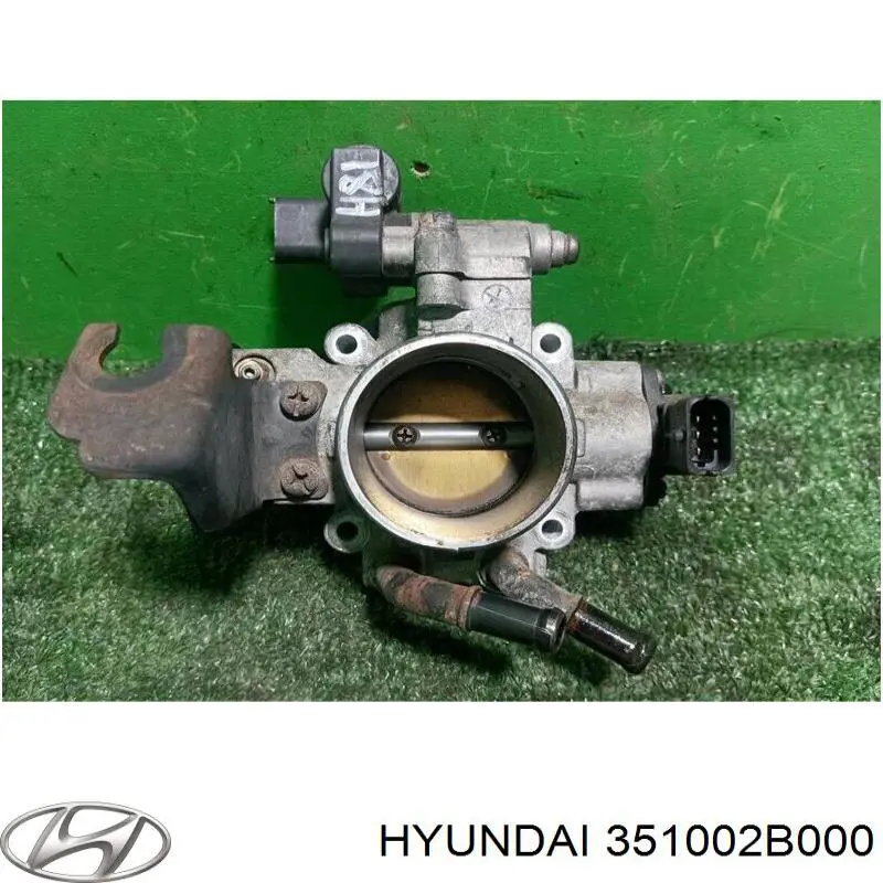 Заслонка воздушная Hyundai/Kia 351002B000