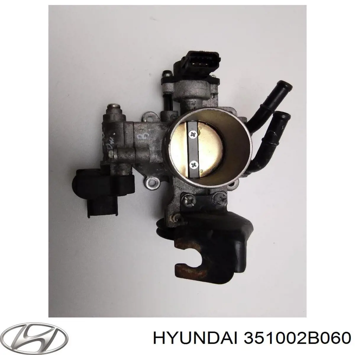 351002B060 Hyundai/Kia válvula de borboleta montada