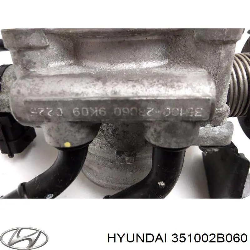 Купить 351002B060 Hyundai/Kia Блок дроссельной заслонки