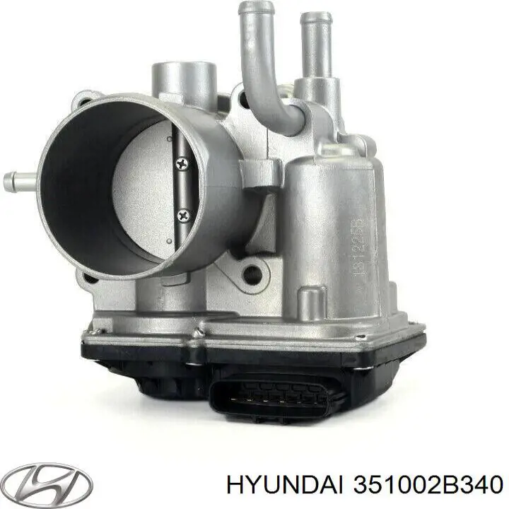 351002B340 Hyundai/Kia дроссельная заслонка
