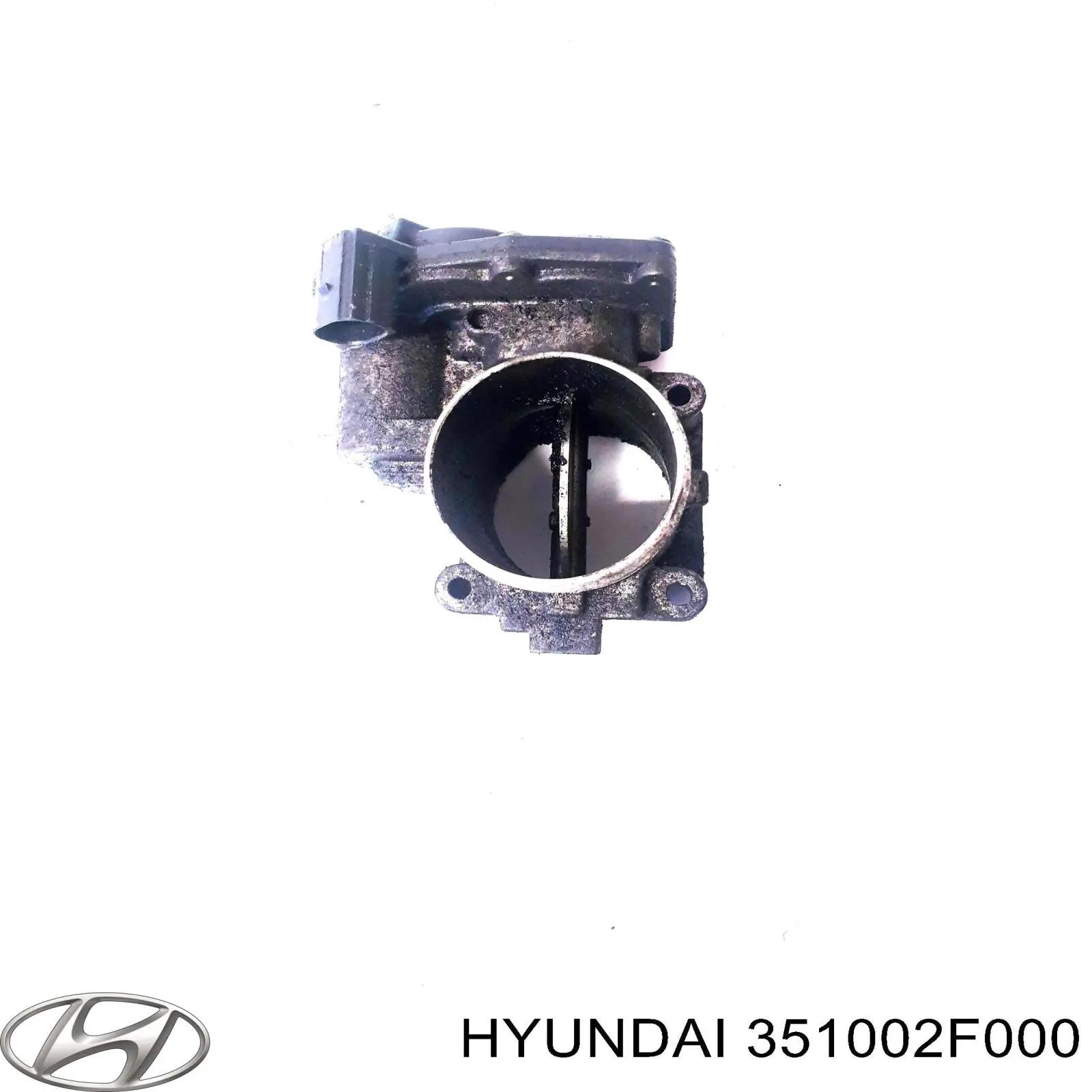 Заслонка воздушная Hyundai/Kia 351002F000