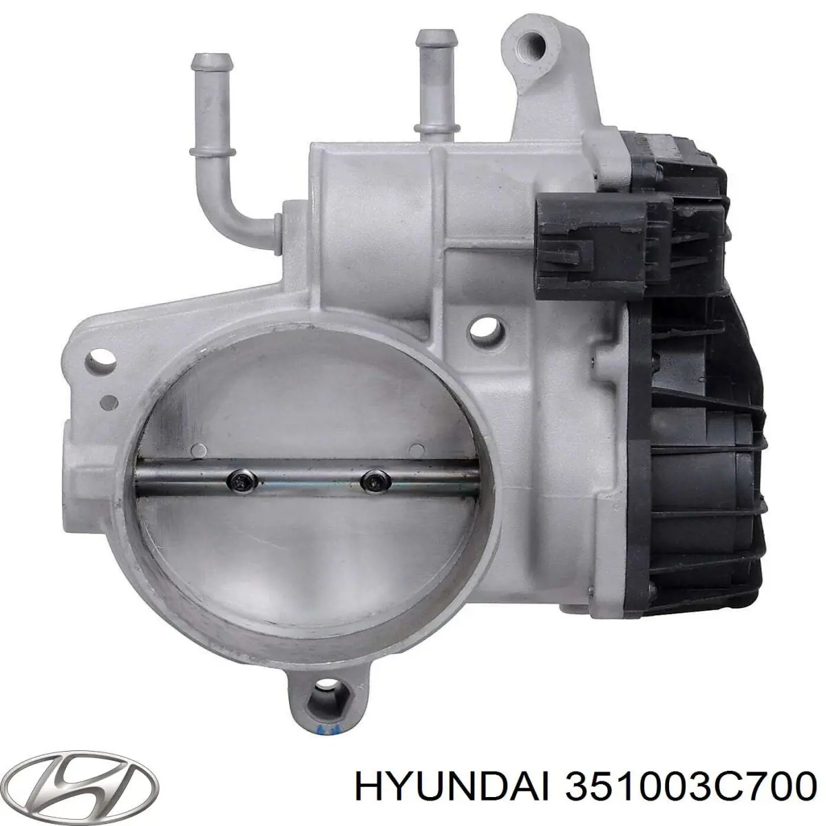 351003C700 Hyundai/Kia Дроссельная заслонка