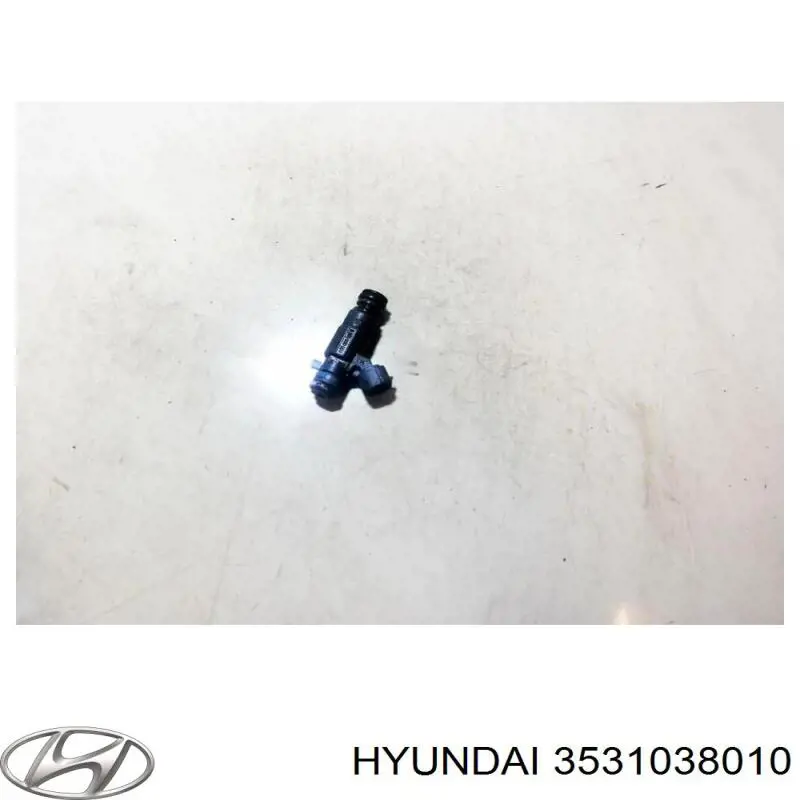 Форсунки Hoffer H75117157