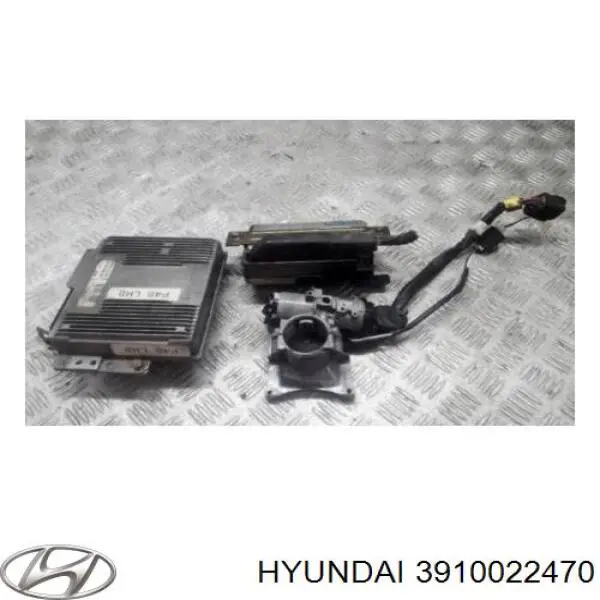 3910022470 Hyundai/Kia Мозги двигателя
