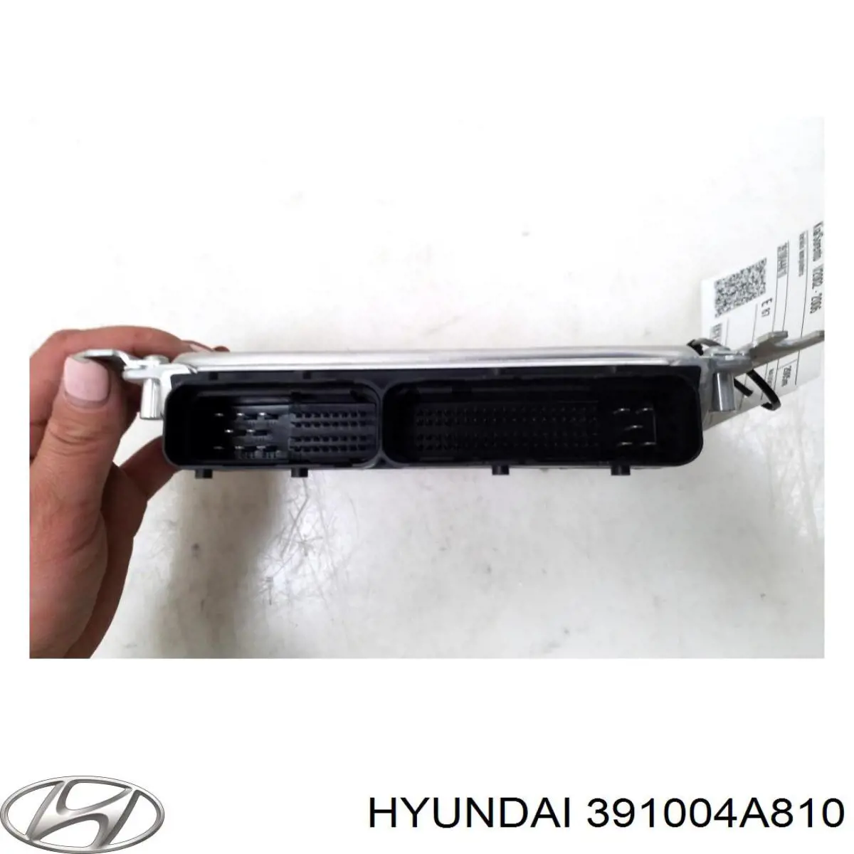 391004A810 Hyundai/Kia Мозги двигателя
