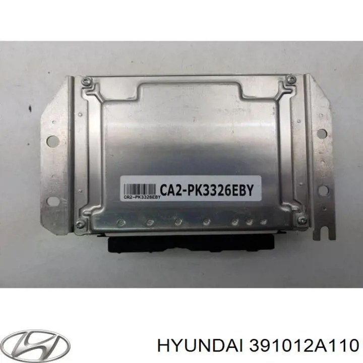 391012A110 Hyundai/Kia Мозги двигателя