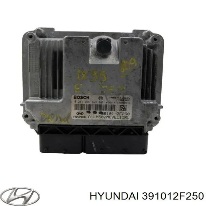391012F250 Hyundai/Kia Мозги двигателя