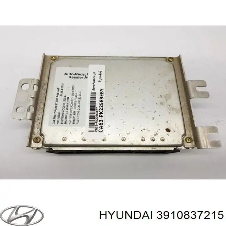  3910837215 Hyundai/Kia