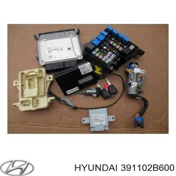 391102B600 Hyundai/Kia 