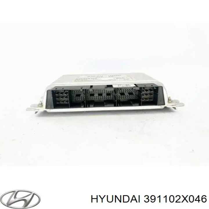  391102X046 Hyundai/Kia