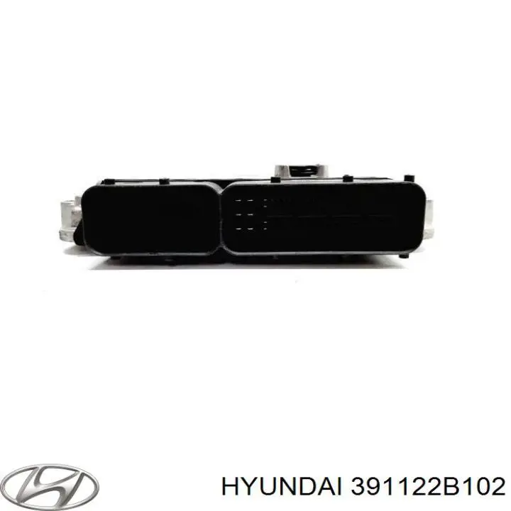  391122B102 Hyundai/Kia