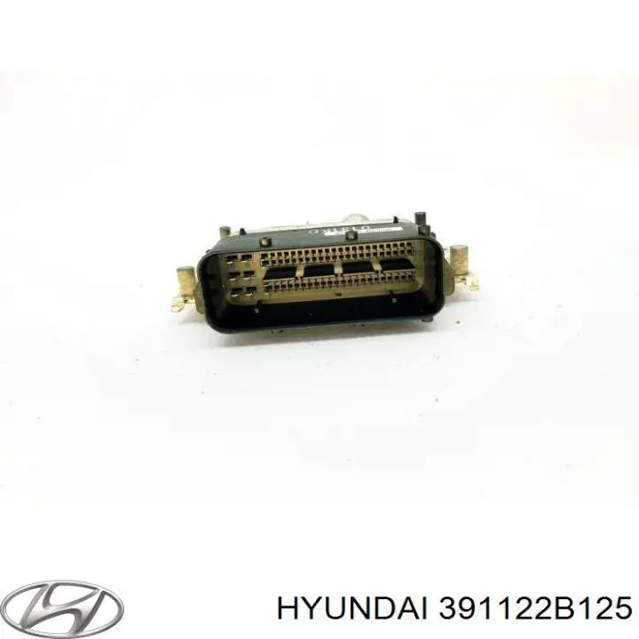 Купить 391122B125 Hyundai/Kia Электронный блок управления двигателем