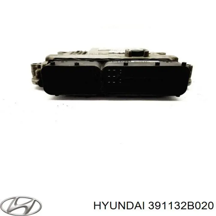 391132B020 Hyundai/Kia 