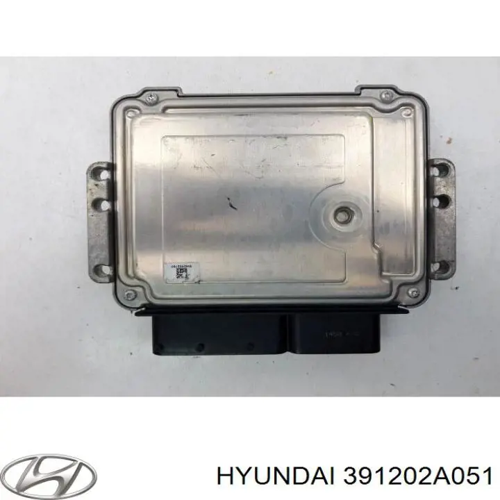  391202A051 Hyundai/Kia