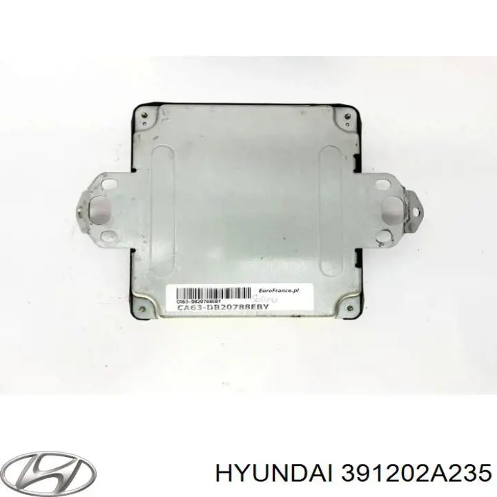 391202A235 Hyundai/Kia Мозги двигателя