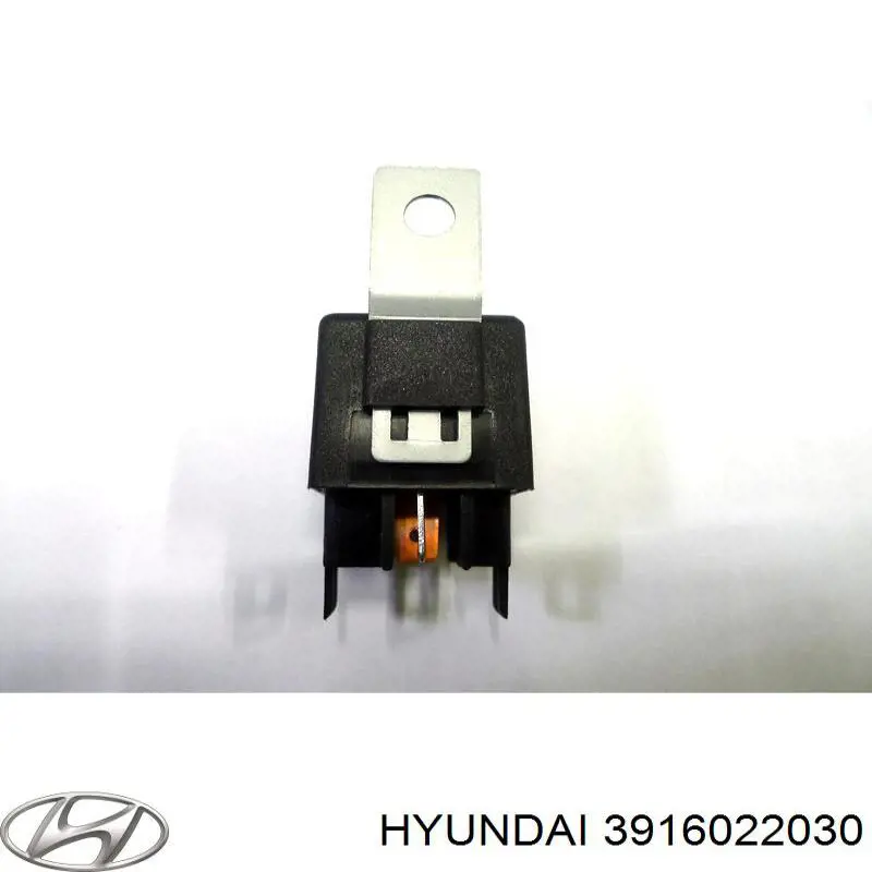 3916022030 Hyundai/Kia 