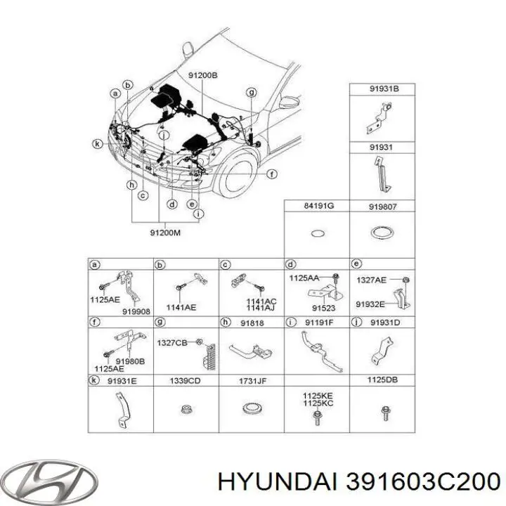 391603C200 Hyundai/Kia