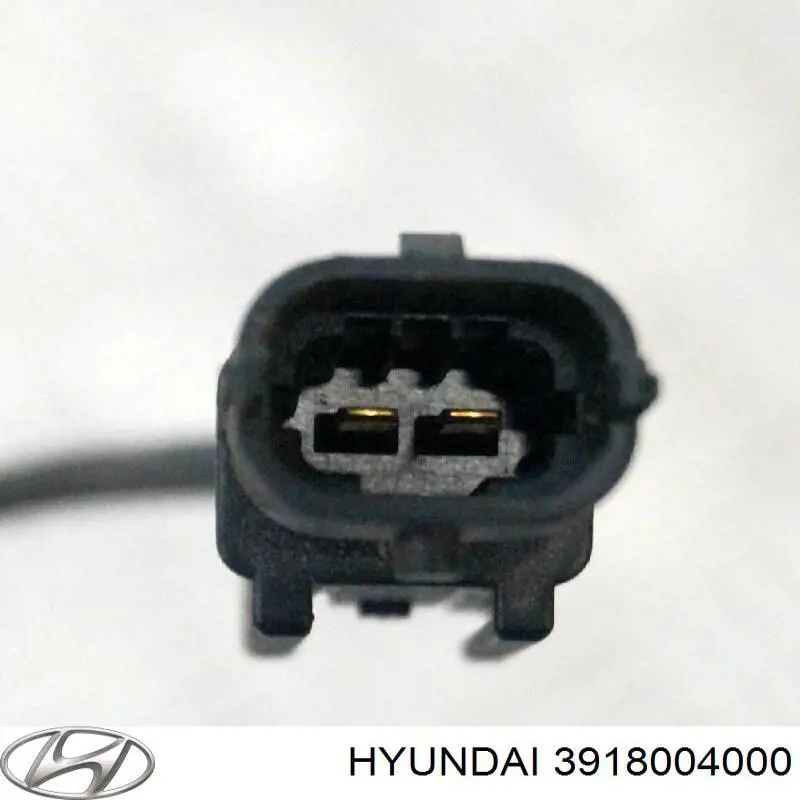 3918004000 Hyundai/Kia 